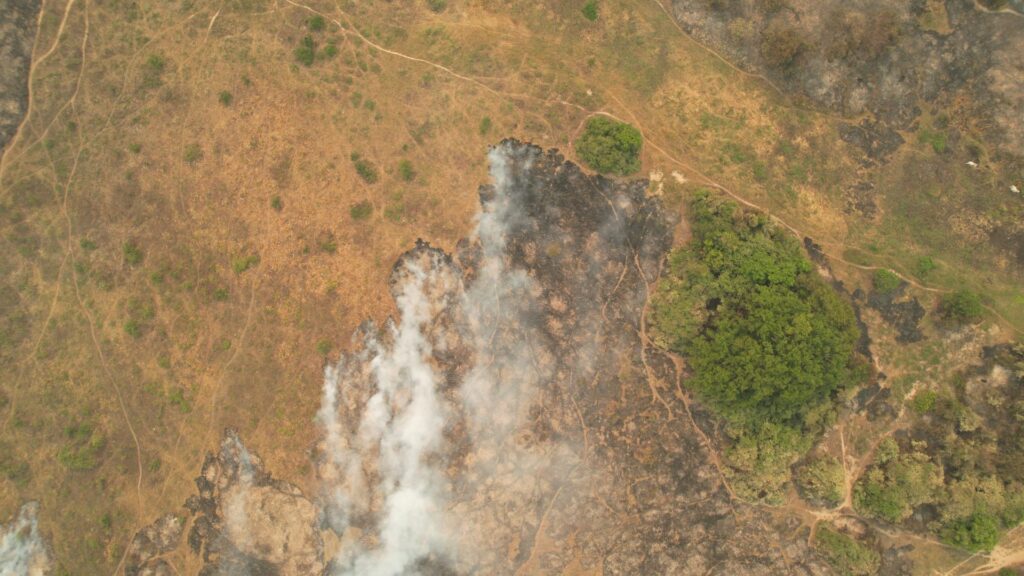 El Niño provoca situação climática extrema em MS, com alerta para incêndios florestais no Pantanal