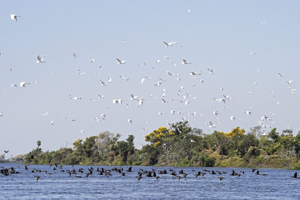 El Niño provoca situação climática extrema em MS, com alerta para incêndios florestais no Pantanal