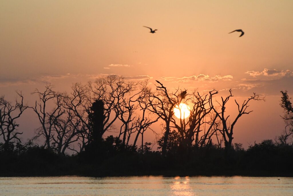 Governo de MS prepara atuação para temporada de incêndios florestais no Pantanal