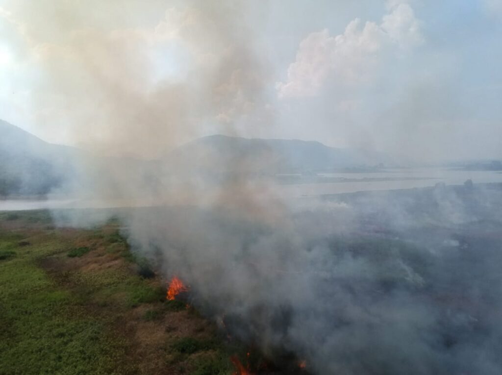 Governo de MS prepara atuação para temporada de incêndios florestais no Pantanal