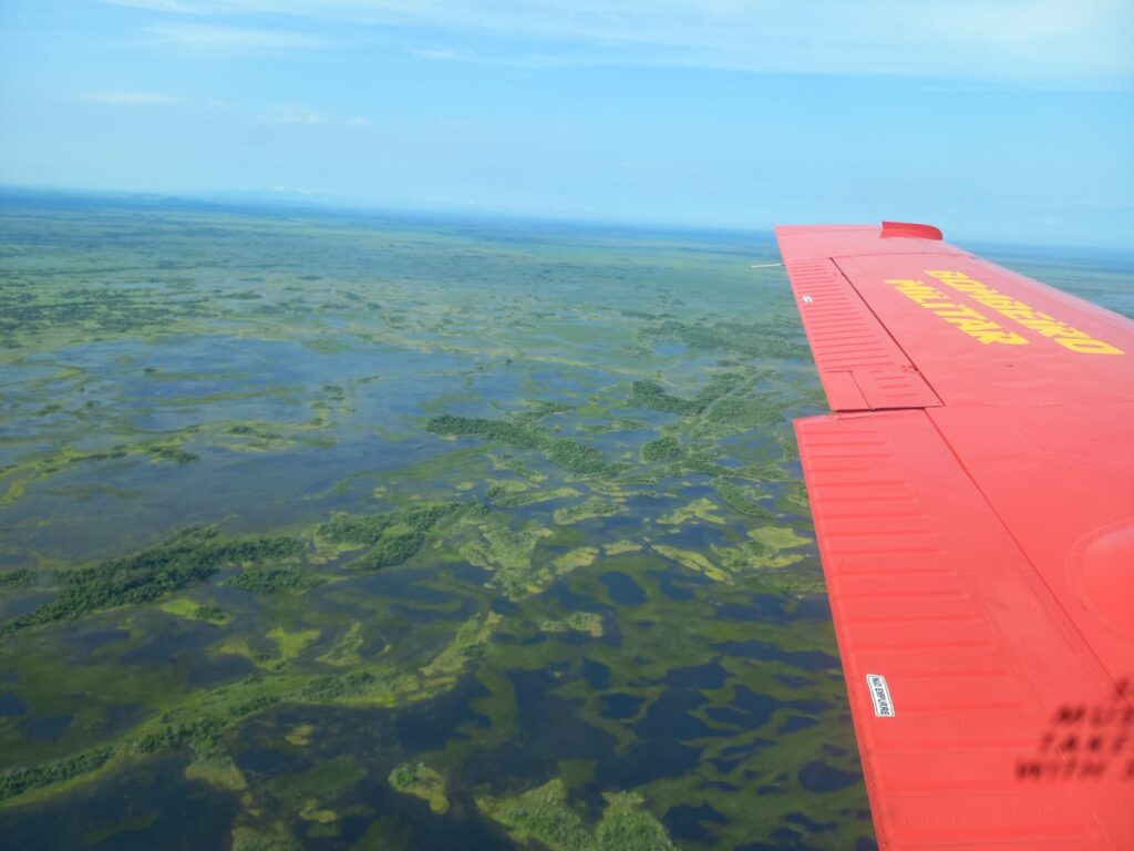 El Niño provoca situação climática extrema em MS, com alerta para incêndios florestais no Pantanal