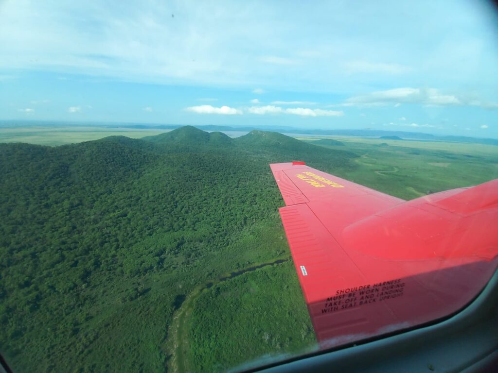 Com atuação coordenada por terra e ar, bombeiros de MS controlam incêndio no Pantanal