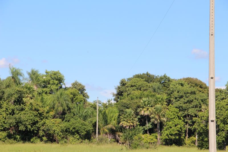 Para prevenir incêndios no Pantanal, Agems intensifica inspeções das redes rurais de energia em MS