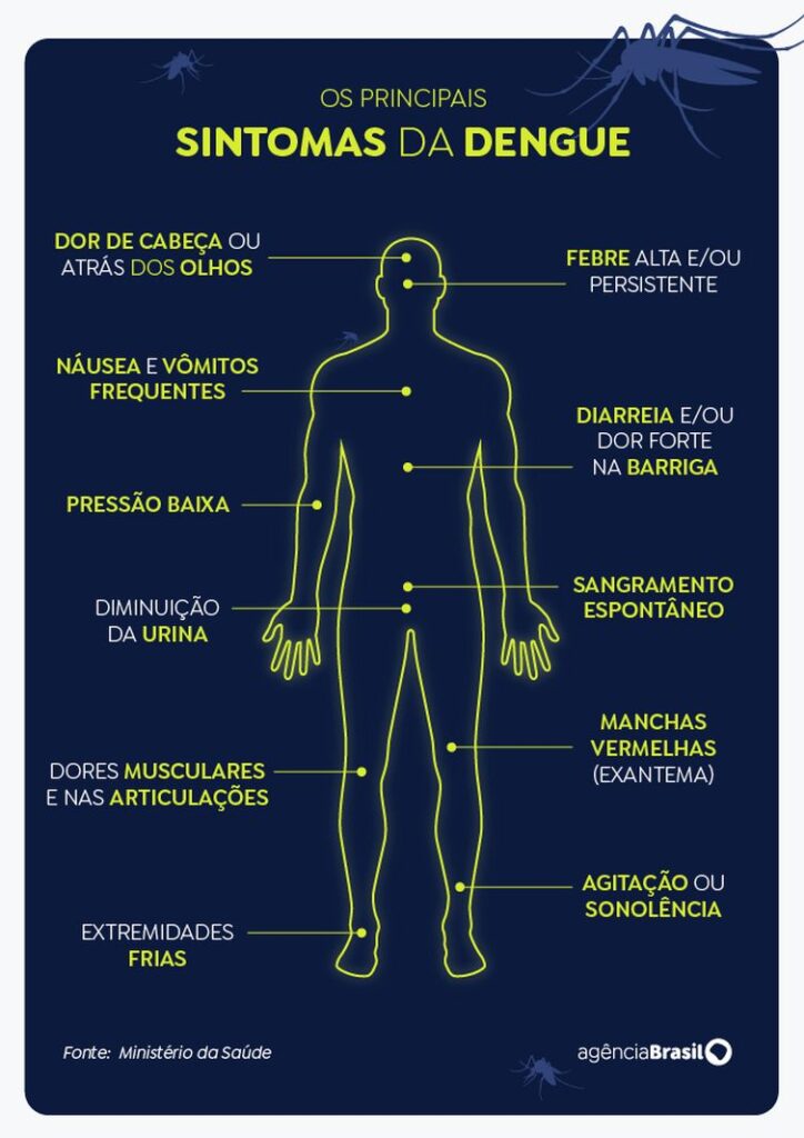 Brasil tem 391 mortes por dengue