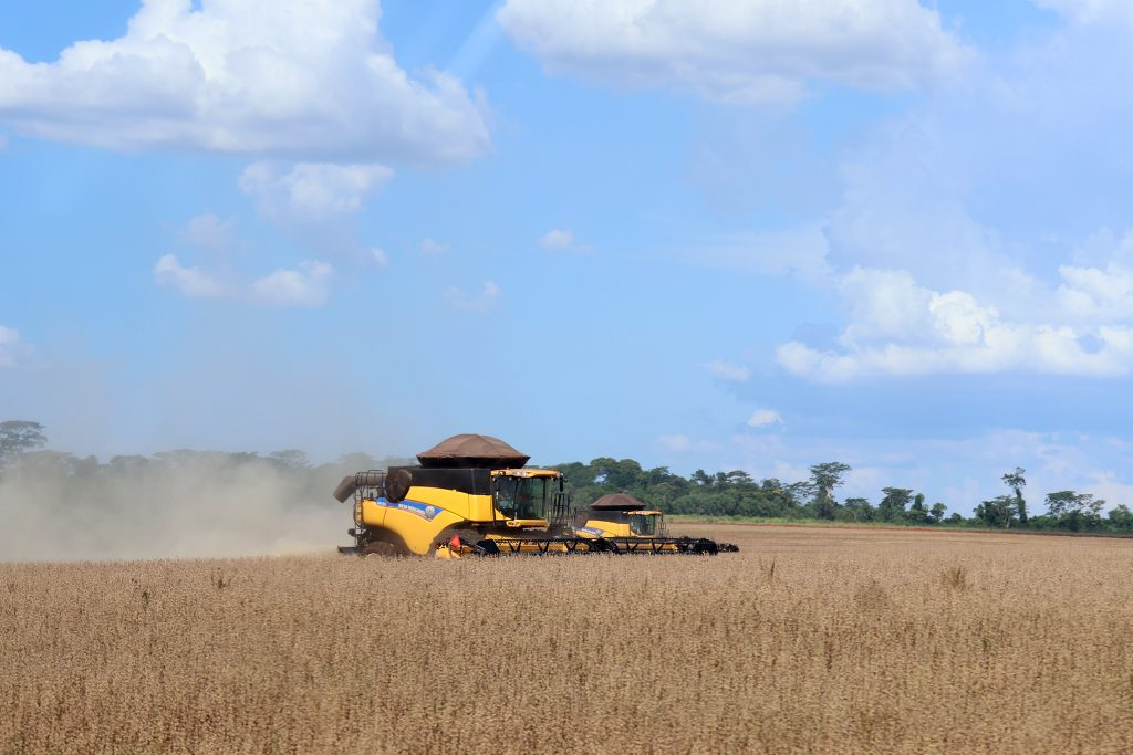 MS teve o maior crescimento do PIB do agronegócio entre os estados brasileiros