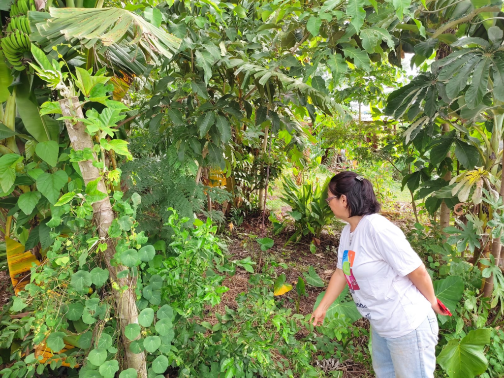 Mês da Mulher: Agricultora familiar que sonha fazer da agrofloresta a sua moradia