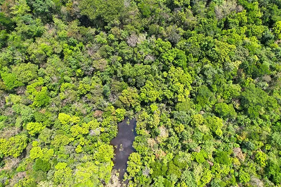 Estudo inédito encontra agrotóxico com potencial cancerígeno em bacia do Pantanal