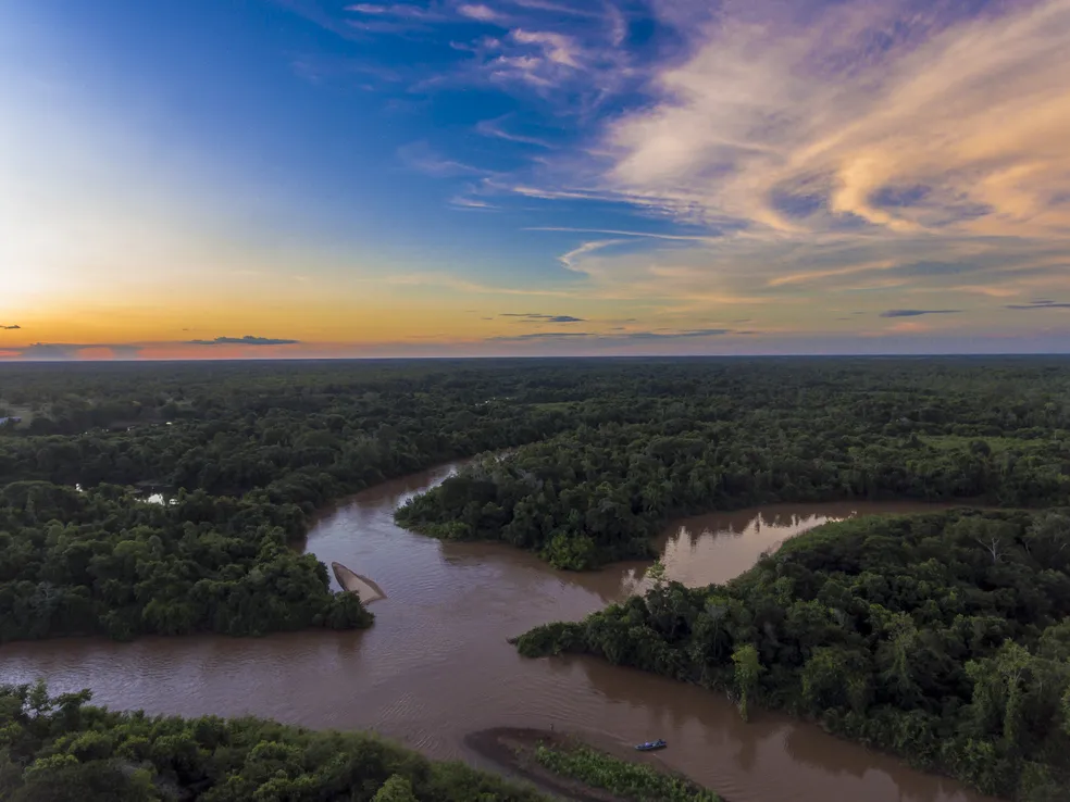 Estudo inédito encontra agrotóxico com potencial cancerígeno em bacia do Pantanal