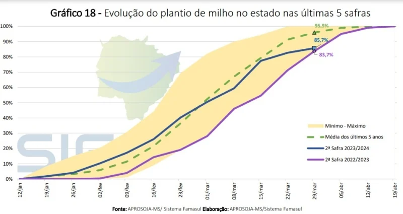 Famasul classifica 10% do milho do Mato Grosso do Sul com em condições ruins e alerta para riscos de plantio tardio