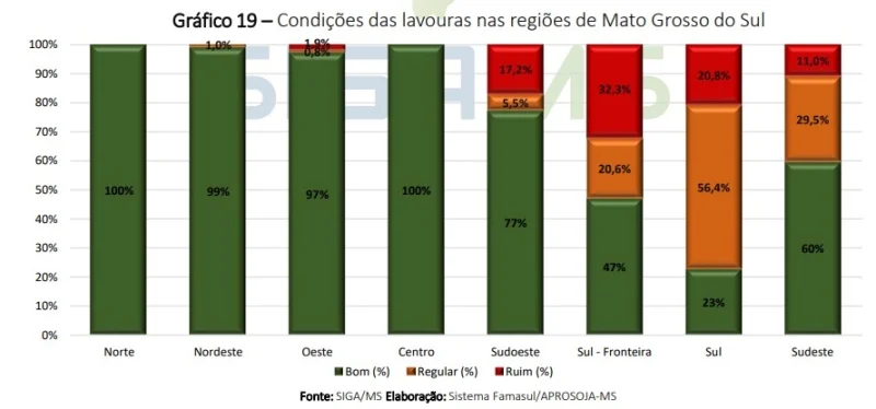 Famasul classifica 10% do milho do Mato Grosso do Sul com em condições ruins e alerta para riscos de plantio tardio