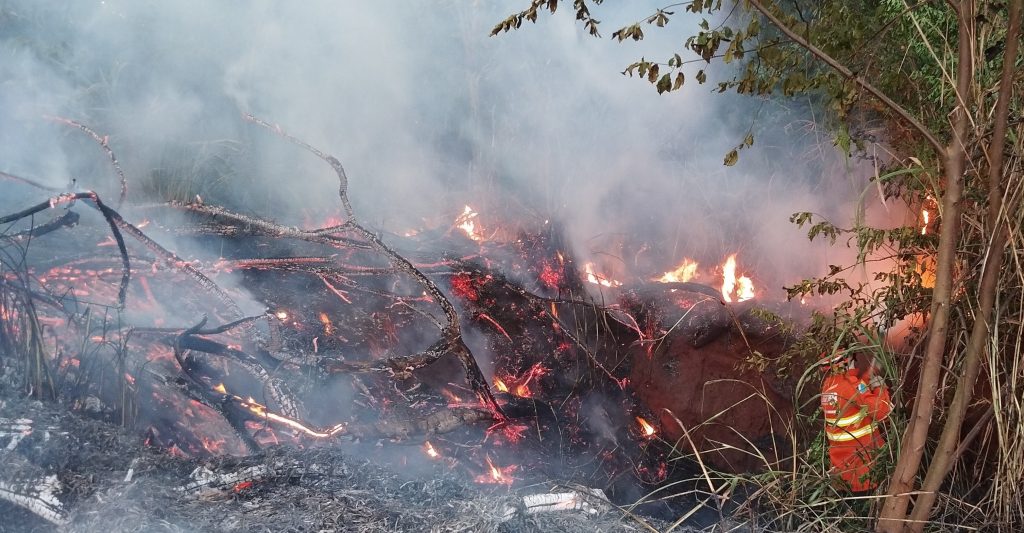 Com esforço concentrado, Corpo de Bombeiros combate incêndio florestal na região de Itaquiraí