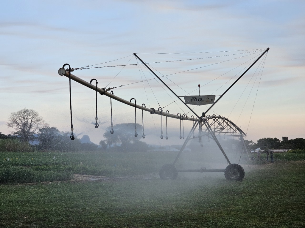 MS lança programa para expandir tecnologia e diversificar produção na agricultura irrigada