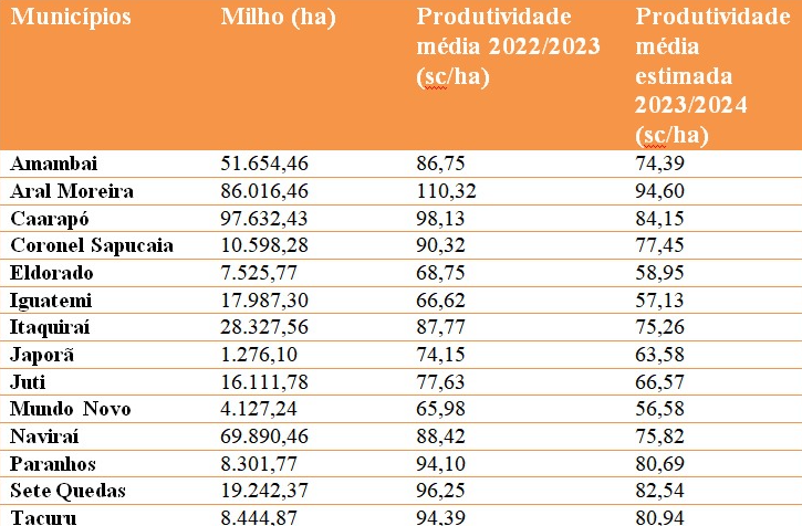 Lavouras do Cone Sul: estiagem compromete safra de milho