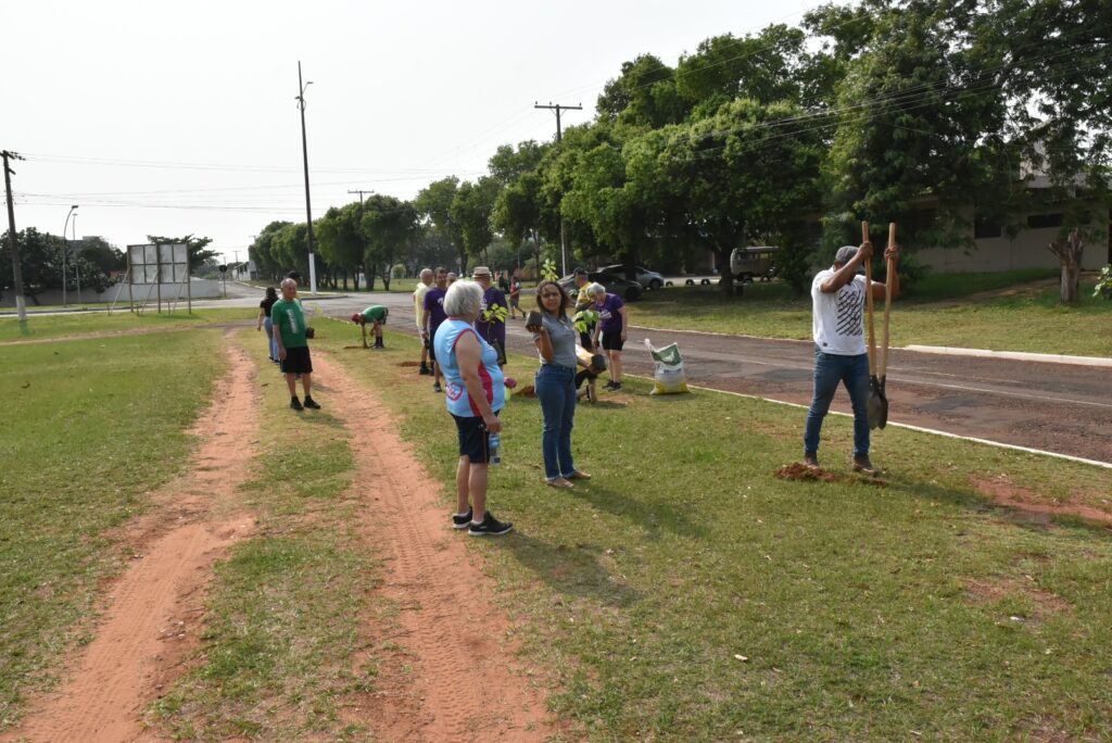 Melhor Idade de Iguatemi participa de plantio de mudas de árvores em comemoração ao Dia Internacional do Idoso