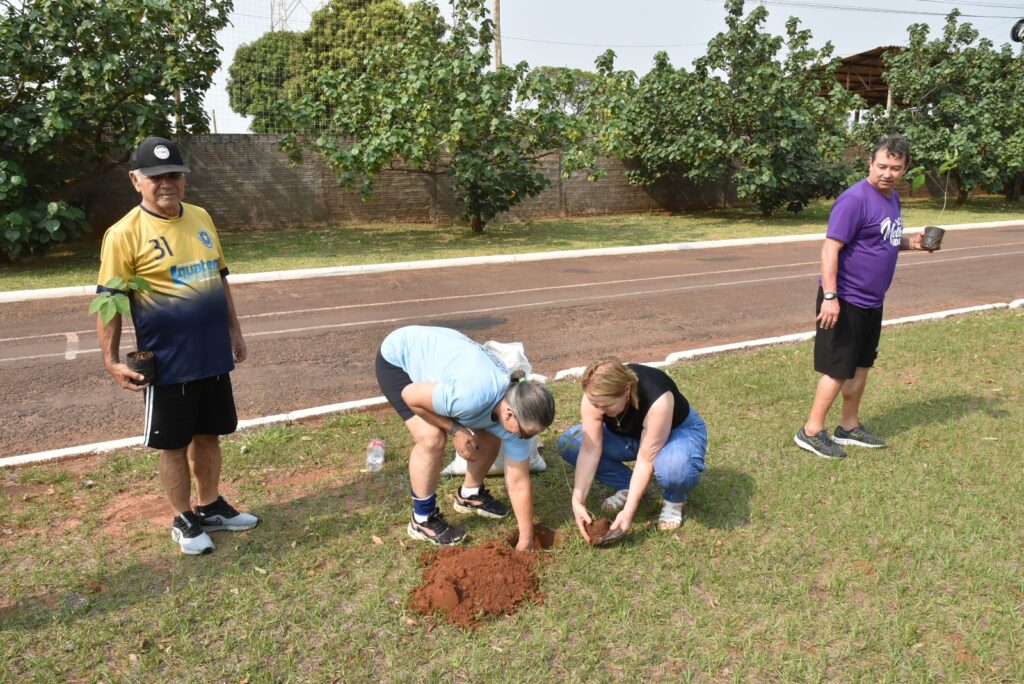 Melhor Idade de Iguatemi participa de plantio de mudas de árvores em comemoração ao Dia Internacional do Idoso