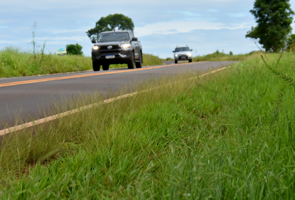 Lei põe fim à construção de rodovias "de segunda linha" em MS