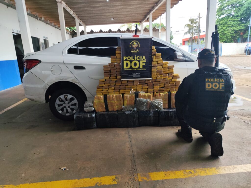 Homem que seguia para São Paulo com quase 400 quilos de maconha é preso pelo DOF Amambai